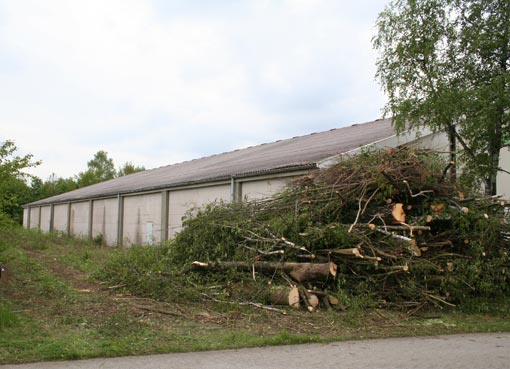 Gehölzrodung Tennishalle