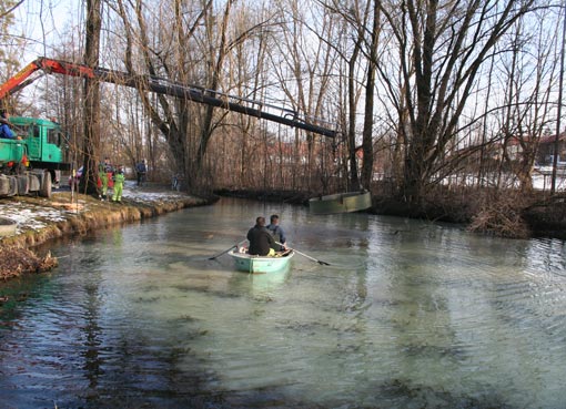 Insel im Augartenweiher