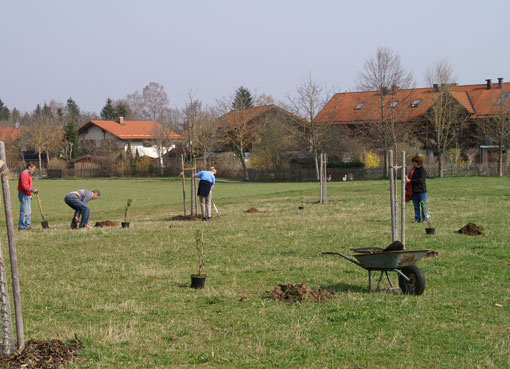 Streuobstwiese