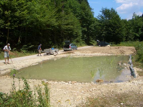 Teich im Gleißental