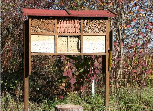 Wildbienenstand