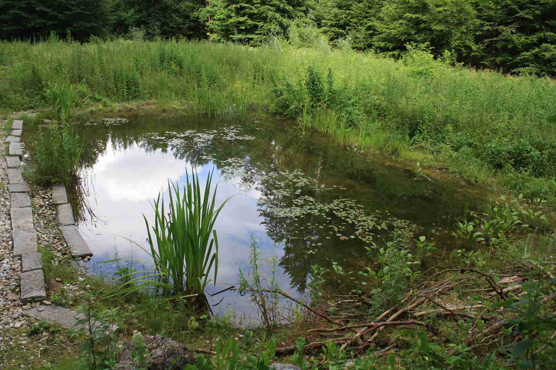 Gleißental-Weiher nach Fertigstellung