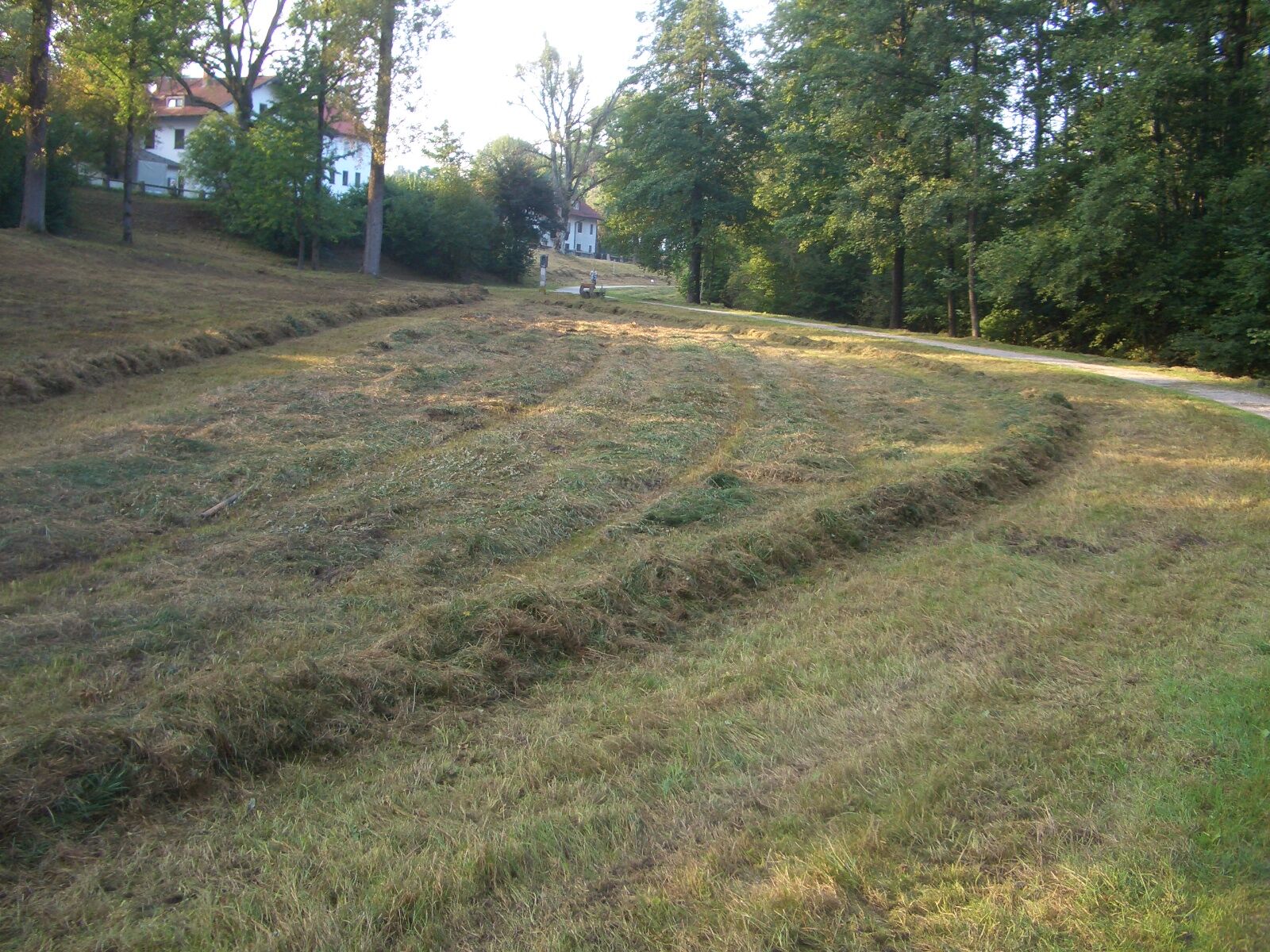 Wiesnmahd Augarten