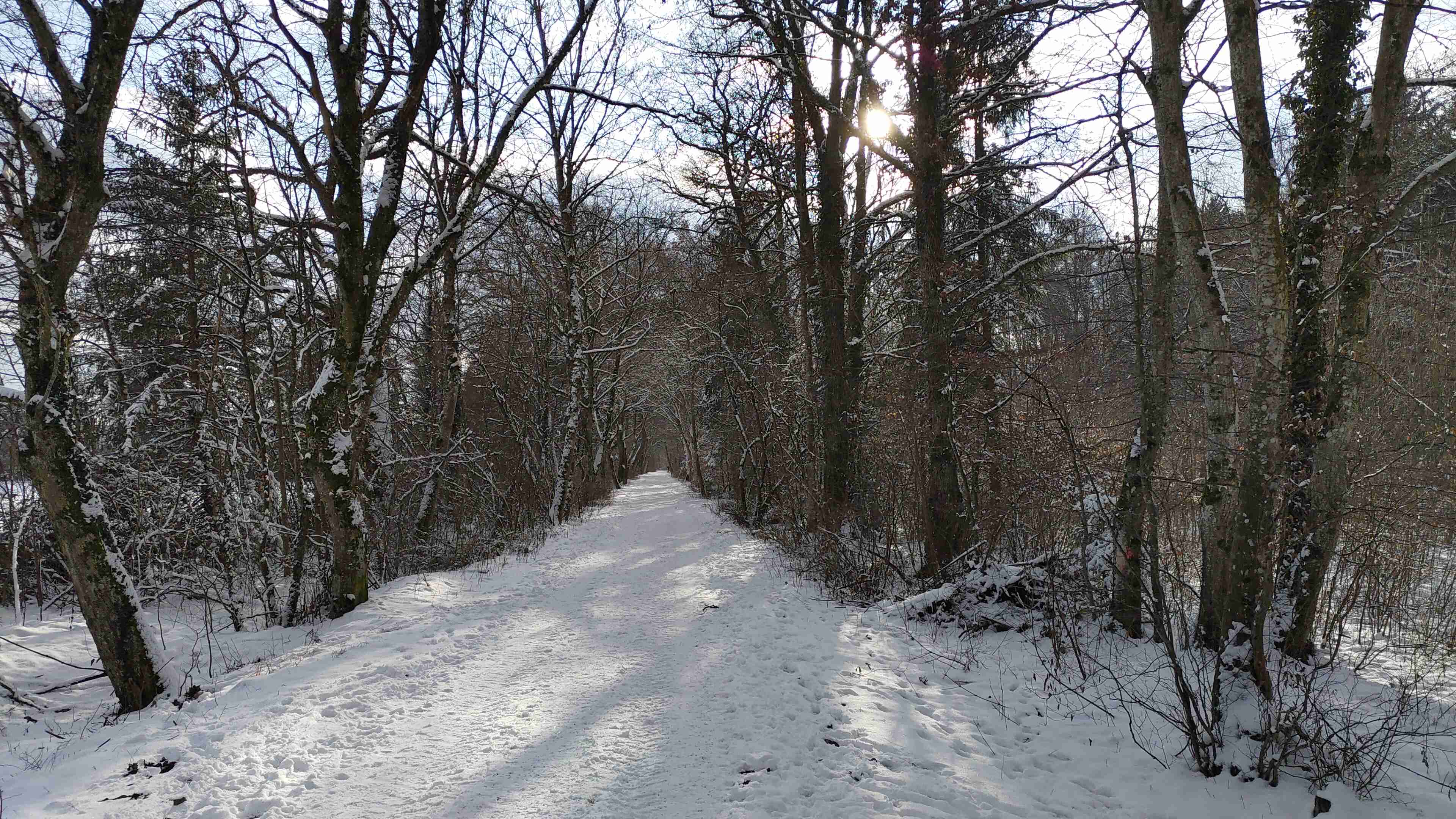 Winterspaziergang